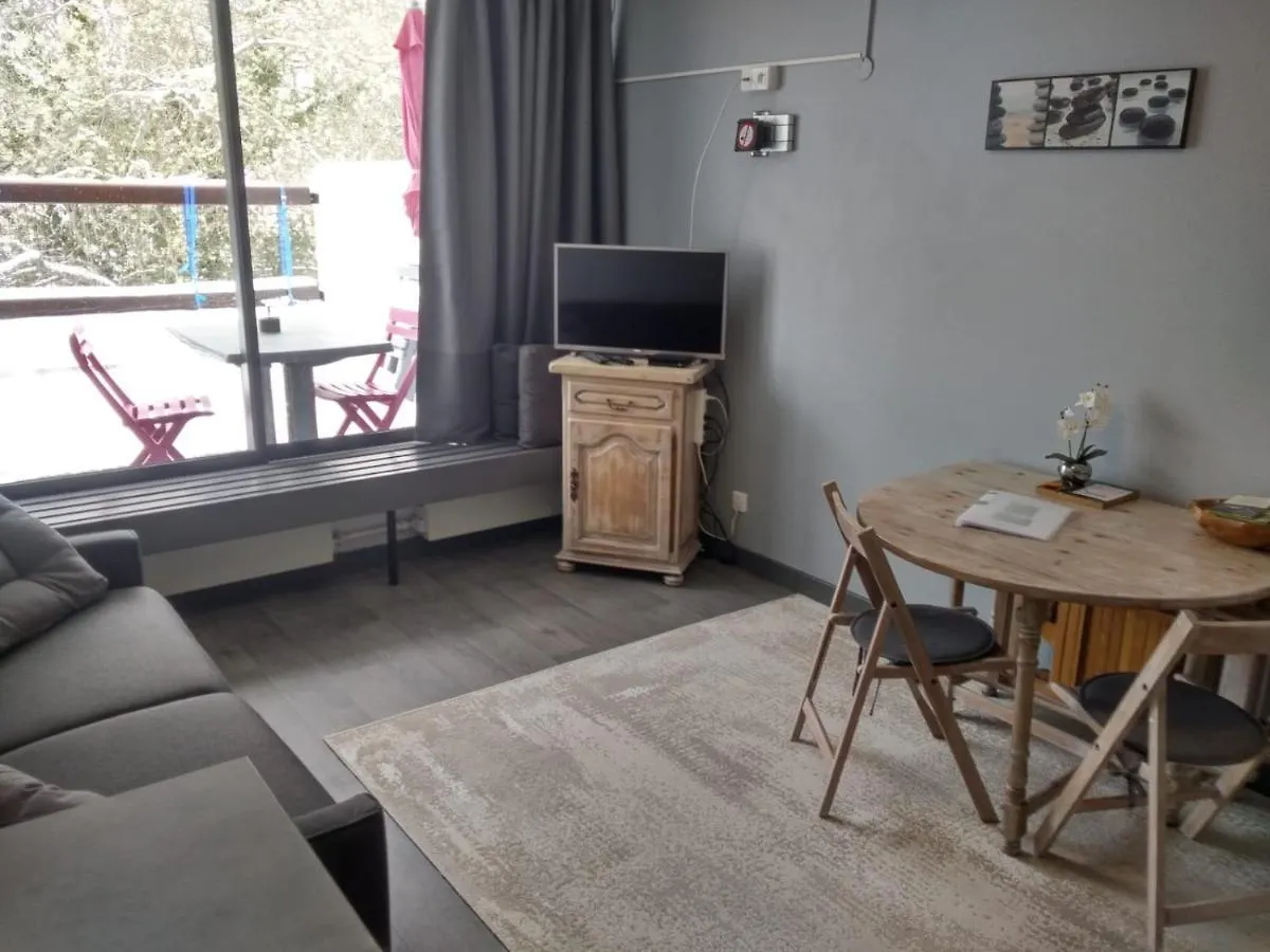 Studio Au Coeur Des Volcans D Auvergne - Murol France