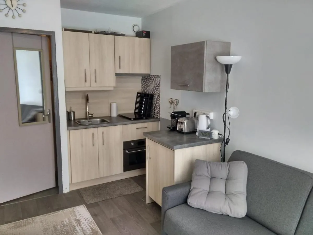 Studio Au Coeur Des Volcans D Auvergne - Murol Apartment