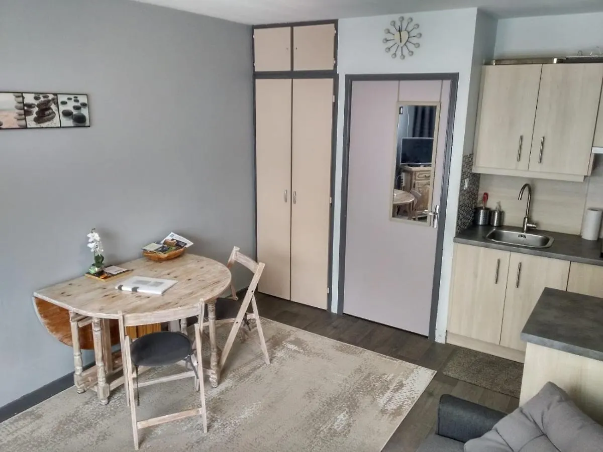 Studio Au Coeur Des Volcans D Auvergne - Murol
